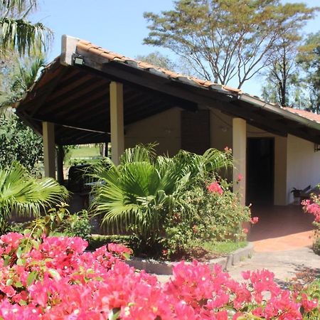 Posada San Miguel Paraguari Eksteriør bilde
