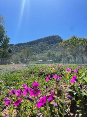 Posada San Miguel Paraguari Eksteriør bilde